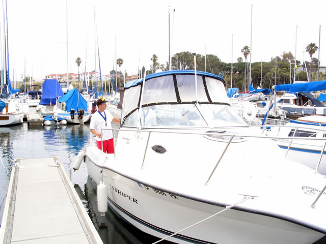 Catalina anyone?