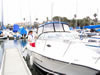 Catalina anyone? (64,920 bytes)